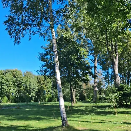 Strefa Zen Klimatyczny Przy Parku Apartament *