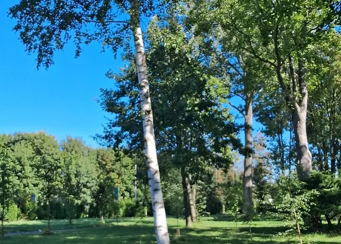 Strefa Zen Klimatyczny Przy Parku Апартаменты *